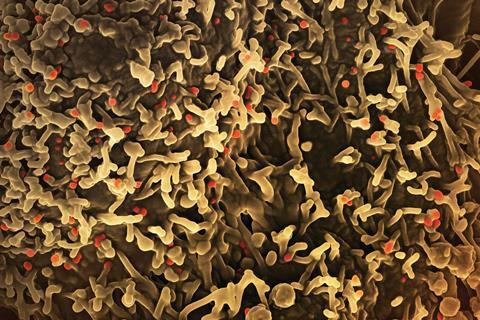 national-institute-of-allergy-and-infectious-diseases-IC5S8EKtad0-unsplash
