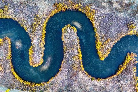 pexels-tomfisk-10900754