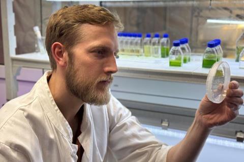 Microalga lab at Technical University of Denmark