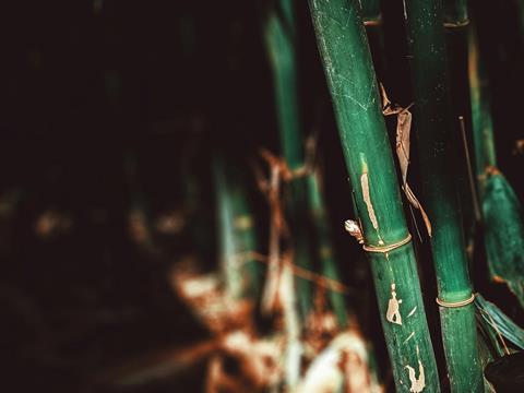 pexels-valeriiamiller-2883913