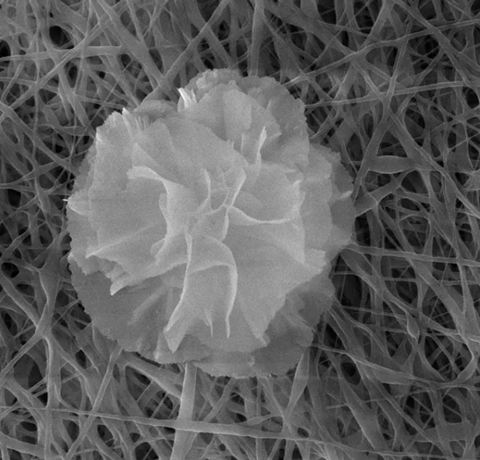 Nanoflower