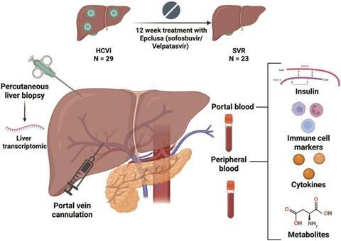Low-Res_jcth-14-245-ga (1)