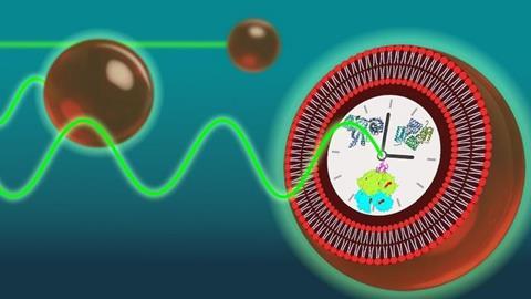 Low-Res_Biology telling time