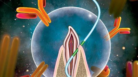 Low-Res_Gill floss HEADER - credit Jie Sun, NC State University