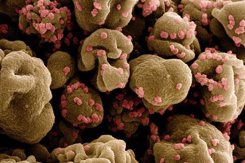 Novel_Coronavirus_SARS-CoV-2_-_53828235001