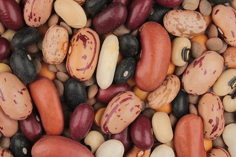 Mixture of beans