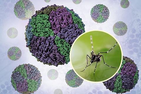 Dengue Virions