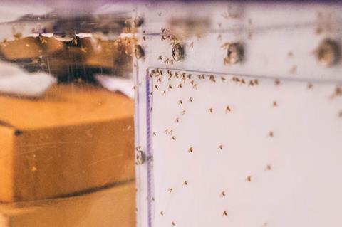 Low-Res_3-2cropPIC40512-RSH_Wasserberg_And_Students_Lab_Field_0012