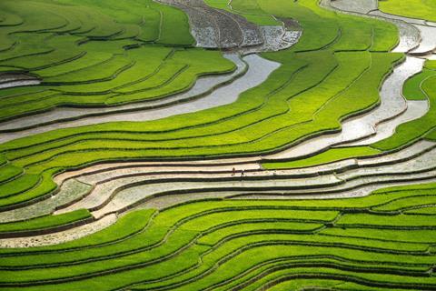 pexels-quang-nguyen-vinh-222549-2173176