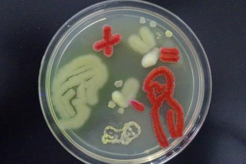Human Microbiome Agar Art with Living Microbes