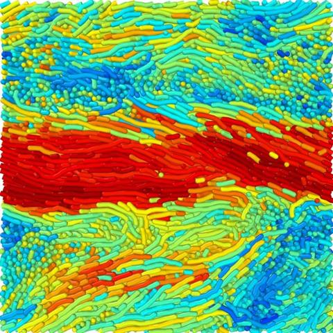 Low-Res_2D_polymer-simulation