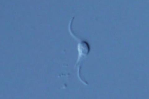 Low-Res_p20250424140000