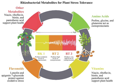 Low-Res_图片12 (1)
