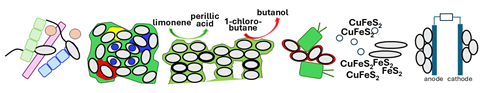 CyclicDiGMPInApplications_Figure1NoCop_v1