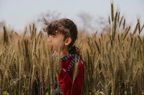 pexels-moh-adbelghaffar-15952610