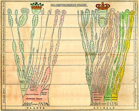 Edward_Hitchcock_Paleontological_Chart