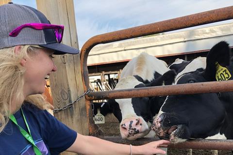 LIsa and cows