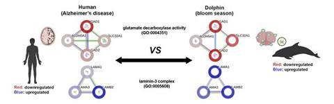 Low-Res_Figure 1 (1)