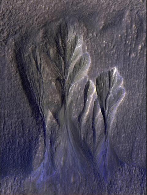 gullies