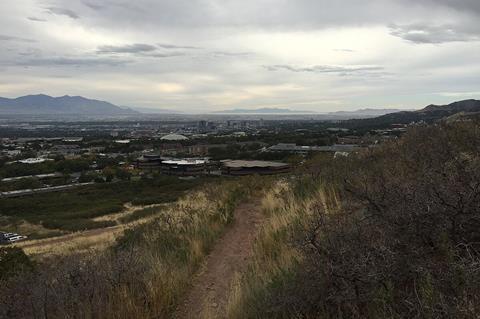 Nature and city