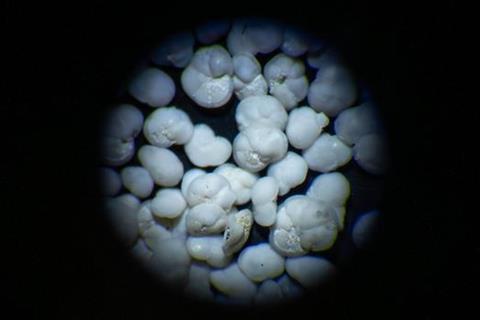 low-res (82)