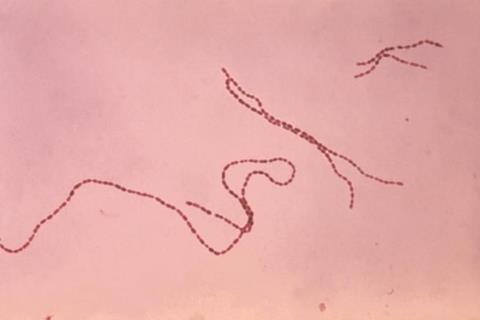 Coprococcus_eutactus00