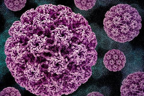 Human_Papillomavirus_(HPV) (1)