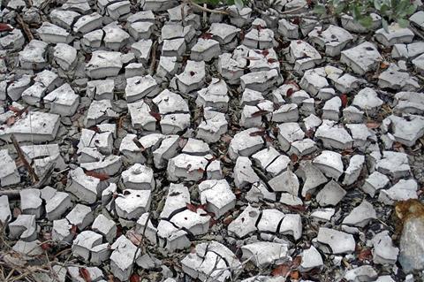 Mudcracks_along_the_shoreline_of_Storr's_Lake_(San_Salvador_Island,_Bahamas)_13