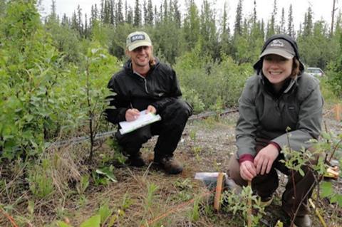 Low-Res_Phytoremediation_fieldwork