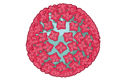 Hantavirus_(NIH_BioArt_682_-_782282).svgz