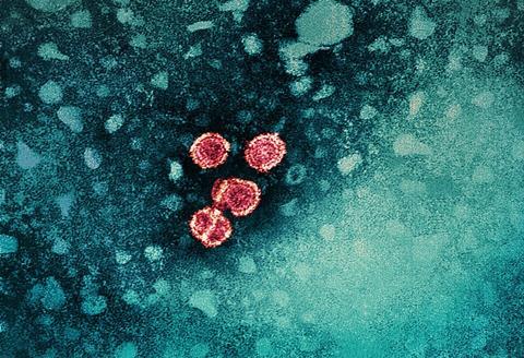Hepatitis_B_Virus_(52444068579)