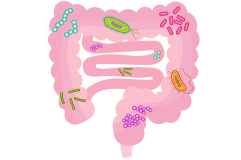 202004_Gut_microbiota