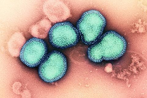 Influenza_A_Virus_(H3N2)_(52747881739)