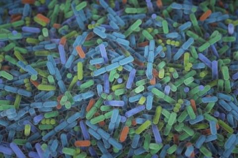 Low-Res_Bacteria_in_the_gut