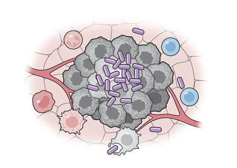 bacterialvax