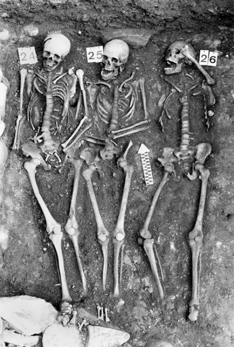 plague victims