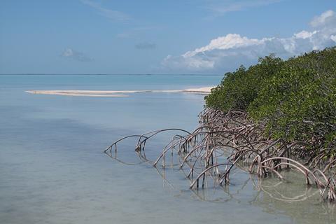 Florida_Bay_(2),_NPSPhoto_(9250055066)