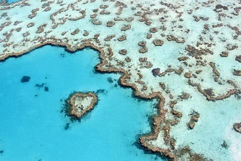 The_heart_reef,_part_of_the_Great_Barrier_Reef_near_Airlie_Beach,_Whitsunday_Islands,_Queensland