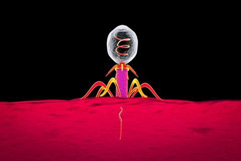 Phage_Infecting