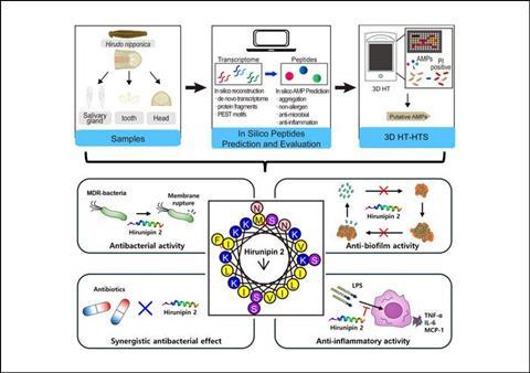 Low-Res_Fig1. Graphical abstract