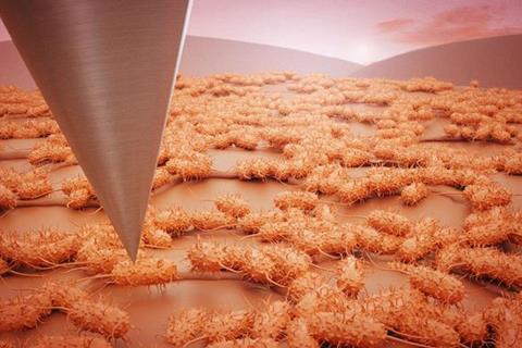 Low-Res_artist rendering of bacterial biofilm