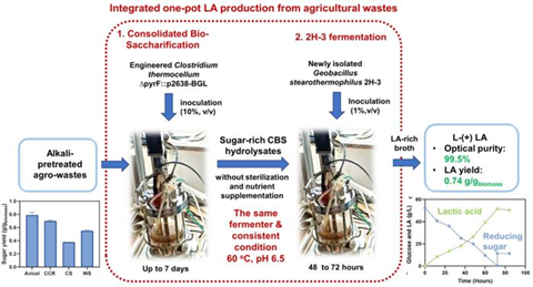 Low-Res_Schematic representation of the integrated LA production process from agro-wastes