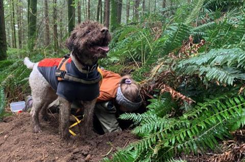 Low-Res_AlanaMcGee and dogs3