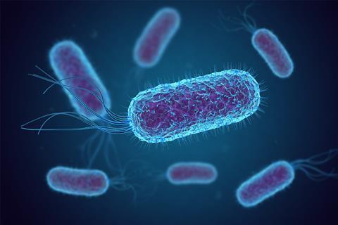 Escherichia_Coli