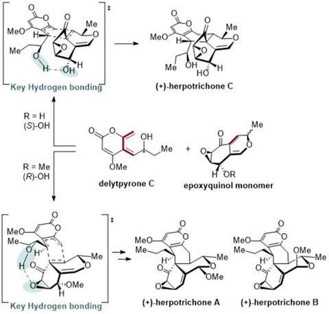 Low-Res_synthetic scheme_english