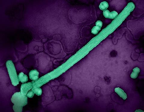 Low-Res_influenza-a-virus-particles-filaments-and-spheres