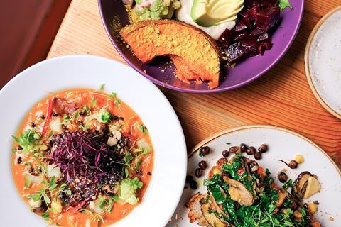 Plant-Based_Dishes,_Raw_Food_(29103285347)