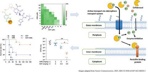 Low-Res_Figure 1 with credit