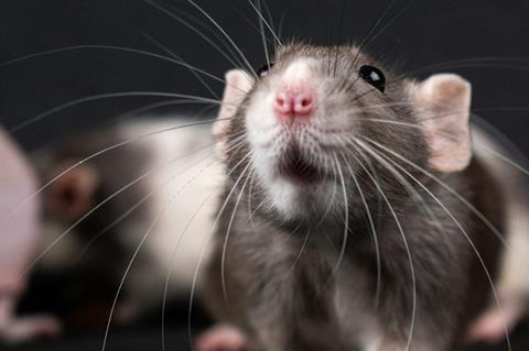 nikolett-emmert-L9FQVIV92Uc-unsplash