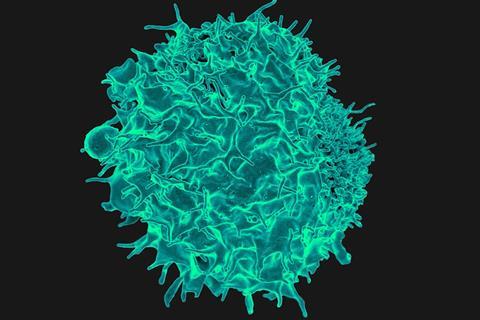 T_Lymphocyte_(16760076824)